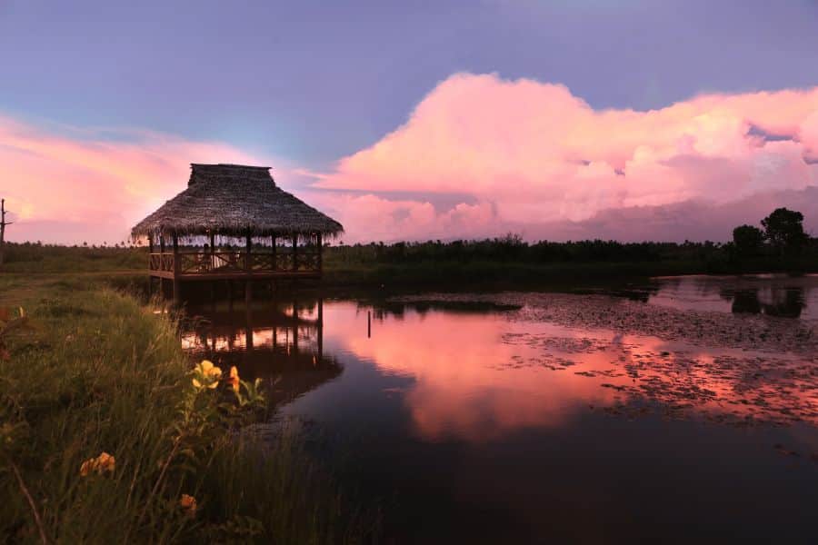 Kerala Honeymoon Tour